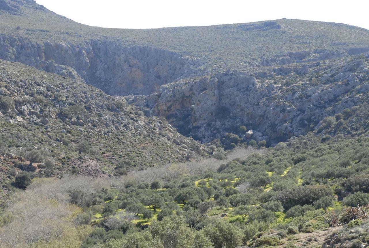 Aspasia'S House Zakros Exterior photo