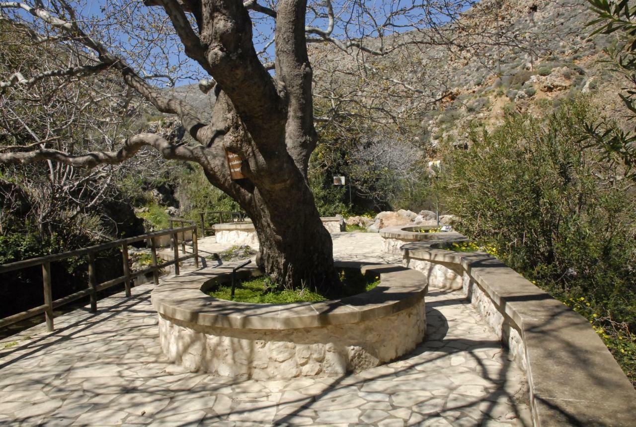 Aspasia'S House Zakros Exterior photo